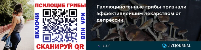 Галлюциногенные грибы ЛСД Звенигово
